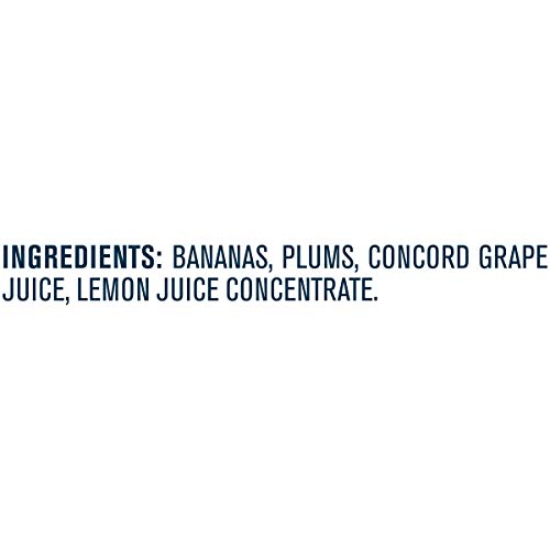 Gerber 2nd Foods Banana Blackberry Blueberry 4 Ounce Tubs, 2 Count (Pack of 8)