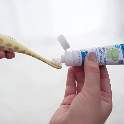 Dr. Brown's Infant-to-Toddler Training Toothbrush, Soft for Baby's First Teeth, Pink Elephant, 0-3 Years (Colors/Styles May Vary)