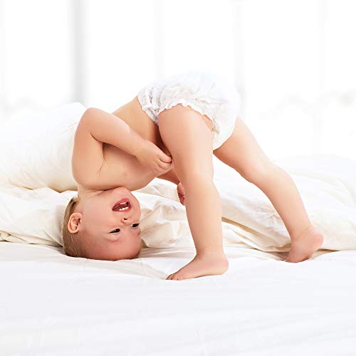 Babo Botanicals Sensitive Baby Fragrance-Free Diaper Cream - 25% Natural Zinc Oxide - Calendula, Shea & Cocoa Butter - EWG Verified - Vegan- from Birth on - 1 or 2 Pack Tube - 6oz Jar