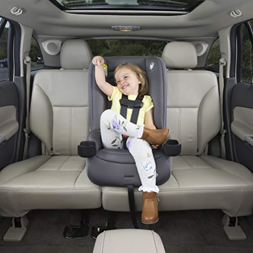 Safety 1st Jive 2-in-1 Convertible Car Seat, Rear Facing Car Seats for Babies (5-40 lbs, 19-40"), Forward Facing Carseat for Toddlers (22-65 lbs, 29-49"), Harvest Moon