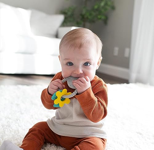 Dr. Brown's AquaCool Water-Filled Baby Teether, Cools & Massages Sore Gums, BPA Free, Pineapple and Apple, 2 Pack, 3m+