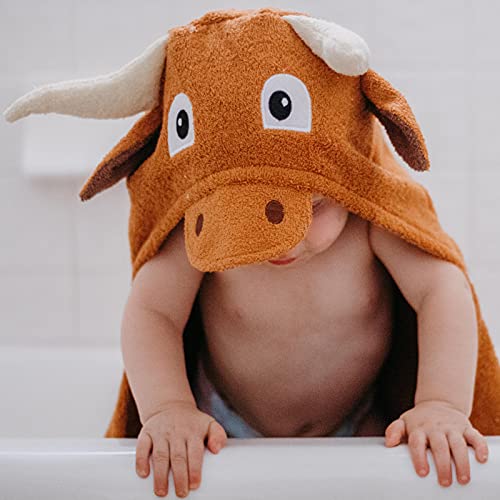 Hooded Baby Towel for Kids 2-8 | Large 100% Cotton Baby Towel for Girls | Cute Flower Bath Towels for Babies and Toddlers with Pink Petals