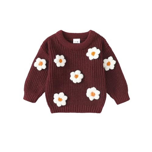 Infant Toddler Baby Girl Oversized Sweater Long Sleeve Sweaters Fall Winter Tops Clothes