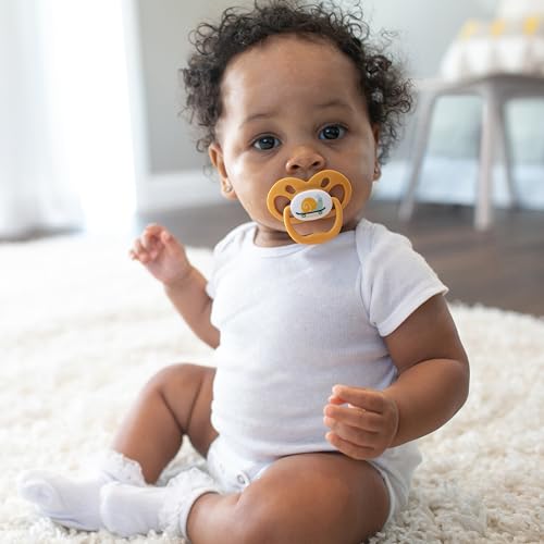 Dr. Brown's Advantage Glow-in-the-Dark Baby Pacifier, Fully Symmetrical Soother with Soft Silicone Bulb, Scooter Squirrel-Purple Nature, 6-18m, BPA Free, 4 Pack