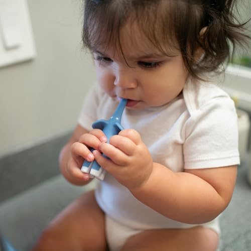 Dr. Brown's Infant-to-Toddler Training Toothbrush, Soft for Baby's First Teeth, Pink Elephant, 0-3 Years (Colors/Styles May Vary)