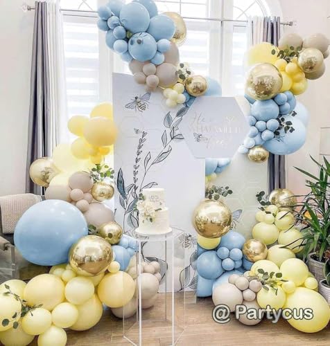 Pink Blue Green Balloon Garland Double Stuffed Dusty Light Green Baby Blue Blush Mauve Latex Pastel Balloon Arch Kit for Boho Baby Shower Gender Reveal Bear Birthday Floral Party Decoration