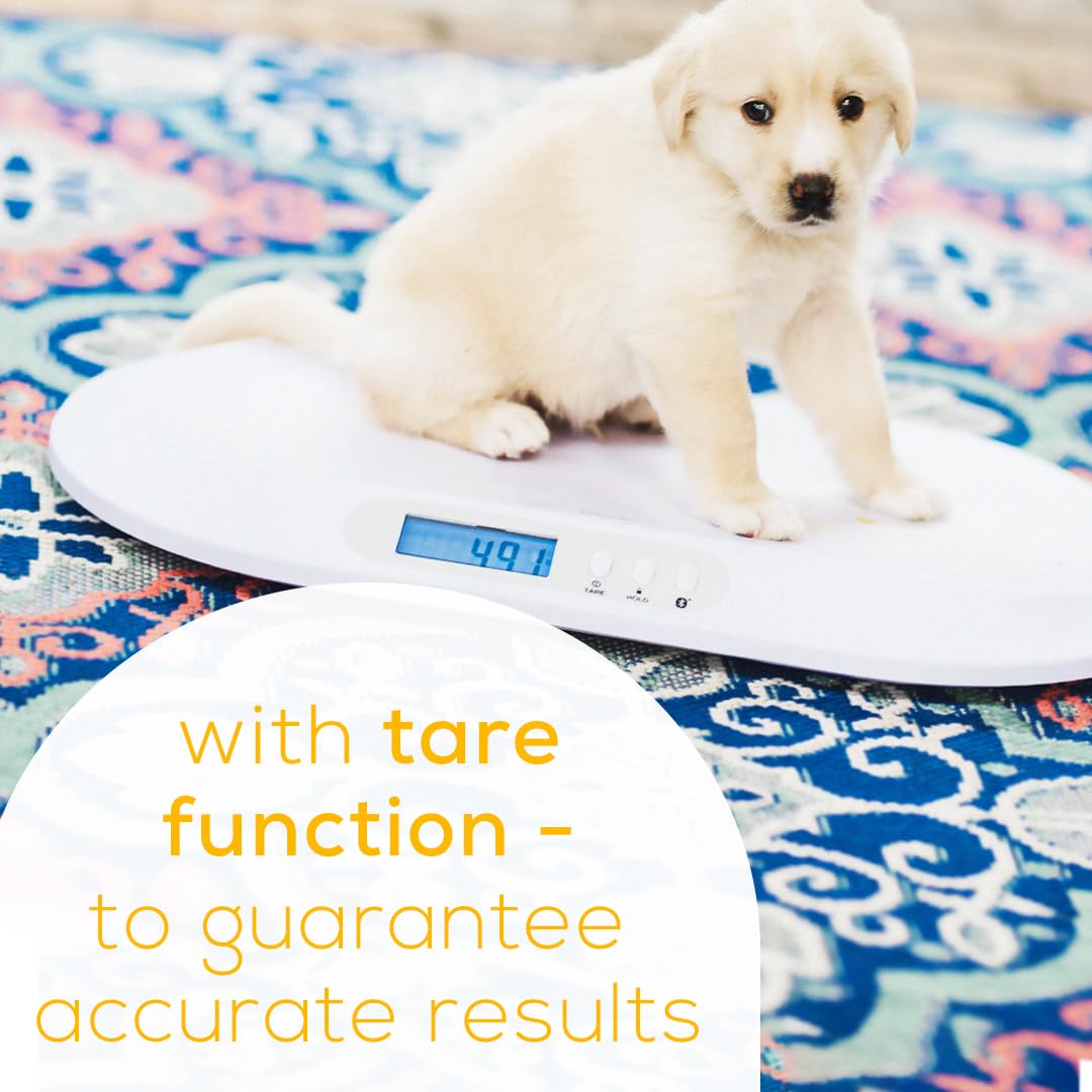 Beurer BY82 Multifunctional Baby Scale for Infants, Pets, Kids, & Adults up to 396lbs, Measures in 4 Units with Backlit Digital Display & Hold Function for Accuracy, Animal Scale for Cats and Dogs