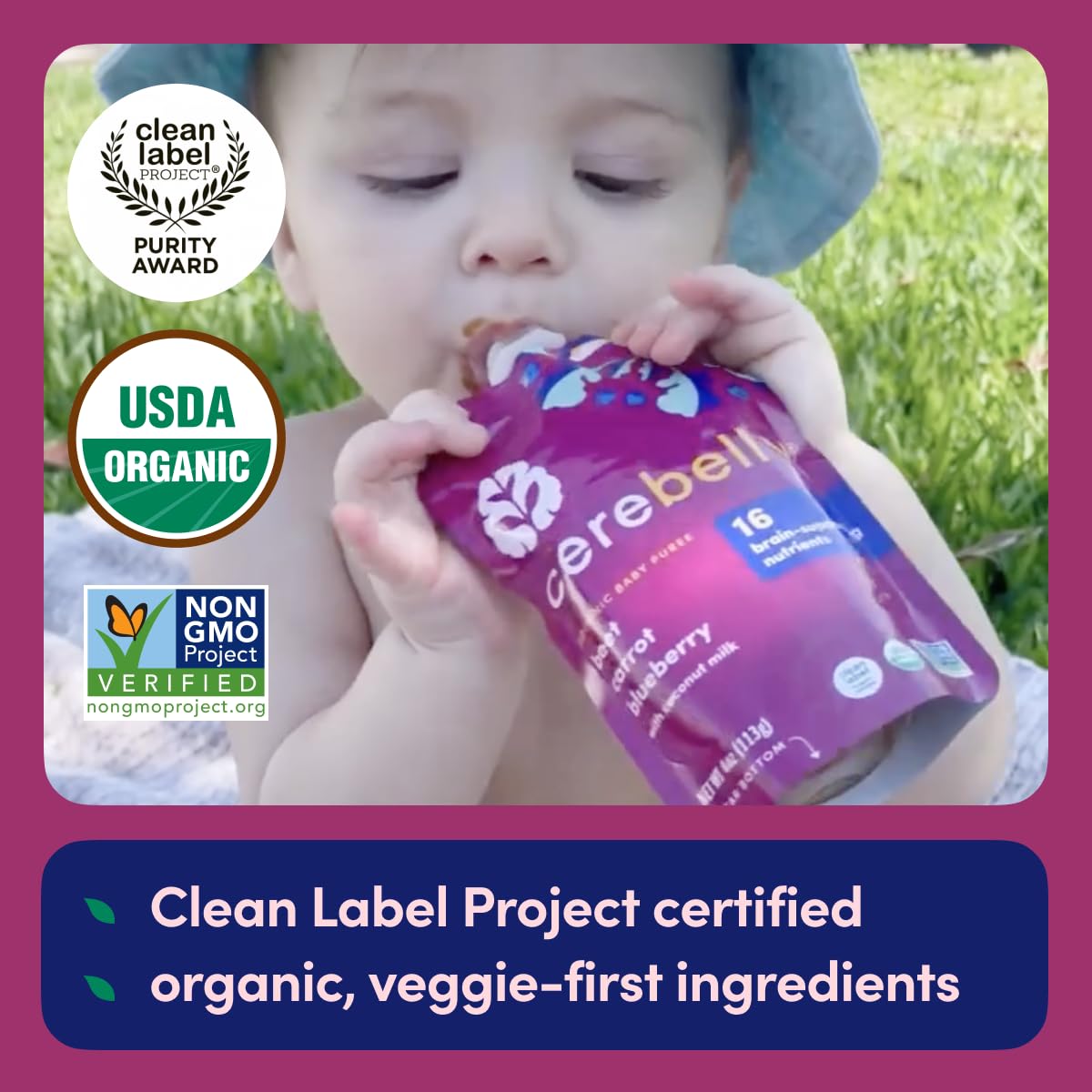 Cerebelly Organic Baby Food Pouches Variety Pack – Organic Veggie Purees for Toddlers | No Added Sugar, Fiber, Non-GMO | Blended Toddler Pouches | 4 Ounce BPA-Free Pouch | 4 Flavors | 8 Count