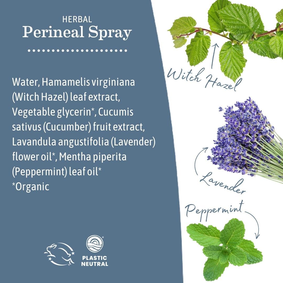 Earth Mama Herbal Perineal Spray | Safe for Pregnancy and Postpartum Recovery, Witch Hazel Natural Cooling Spray For After Birth Feminine Care Essentials, No Benzocaine or Butane, 4-Fluid Ounce