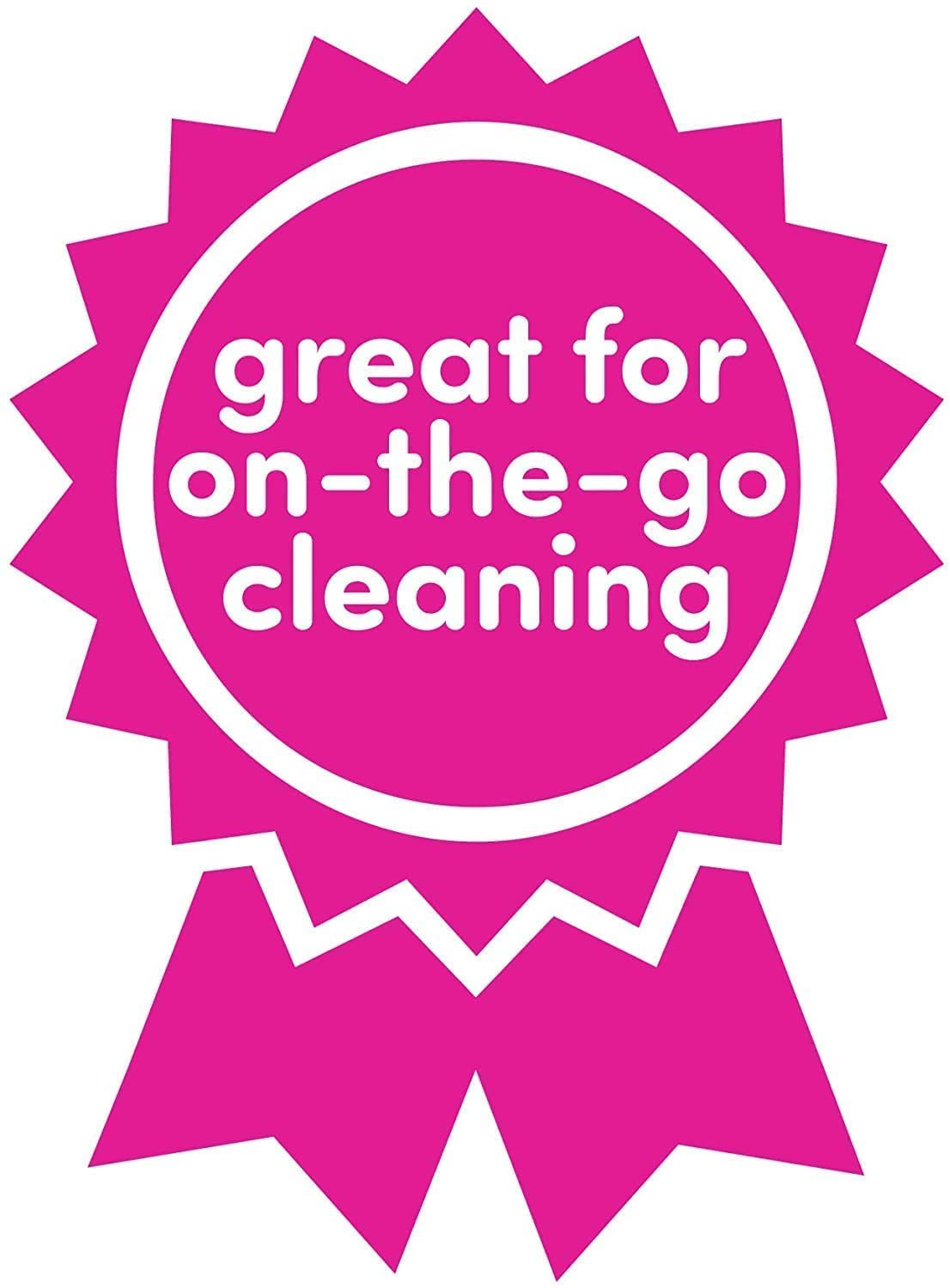 Dapple Baby Bottle Soap, Hypoallergenic Dish Soap for Baby Bottles, Powered by Plants, Travel Size, Fragrance Free, 3 Fl Oz (Pack of 2)