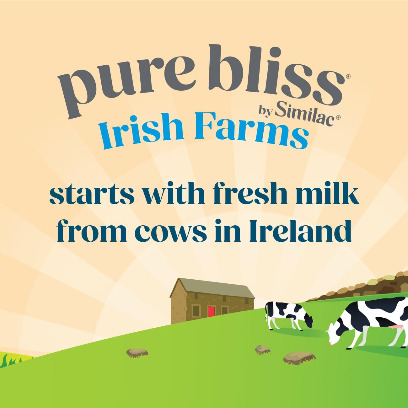Pure Bliss by Similac Irish Farms Toddler Drink,* Easy to Digest, Non-GMO, Powder, 24.7-oz Can