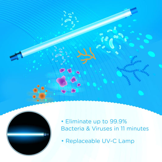 EVLA'S 4-in-1 Baby Bottle Sanitizer and Dryer, UV Light Sanitizer for Phones, Keys, Credit Cards, Feeding Bottles, Touch-Screen, Baby Essential, Sanitizes in Minutes, Removes up to 99.9% Viruses