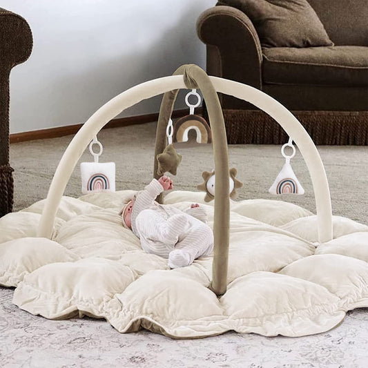5-in-1 Thick & Plush Baby Play Gym, Baby Play Mats for Floor, Tummy Time Mat with 6 Toys, Cat Bed, Dog Bed, Convertible Stage-Based Developmental from Baby to Toddler, Ball Pit, Pet Cushion Cloudico