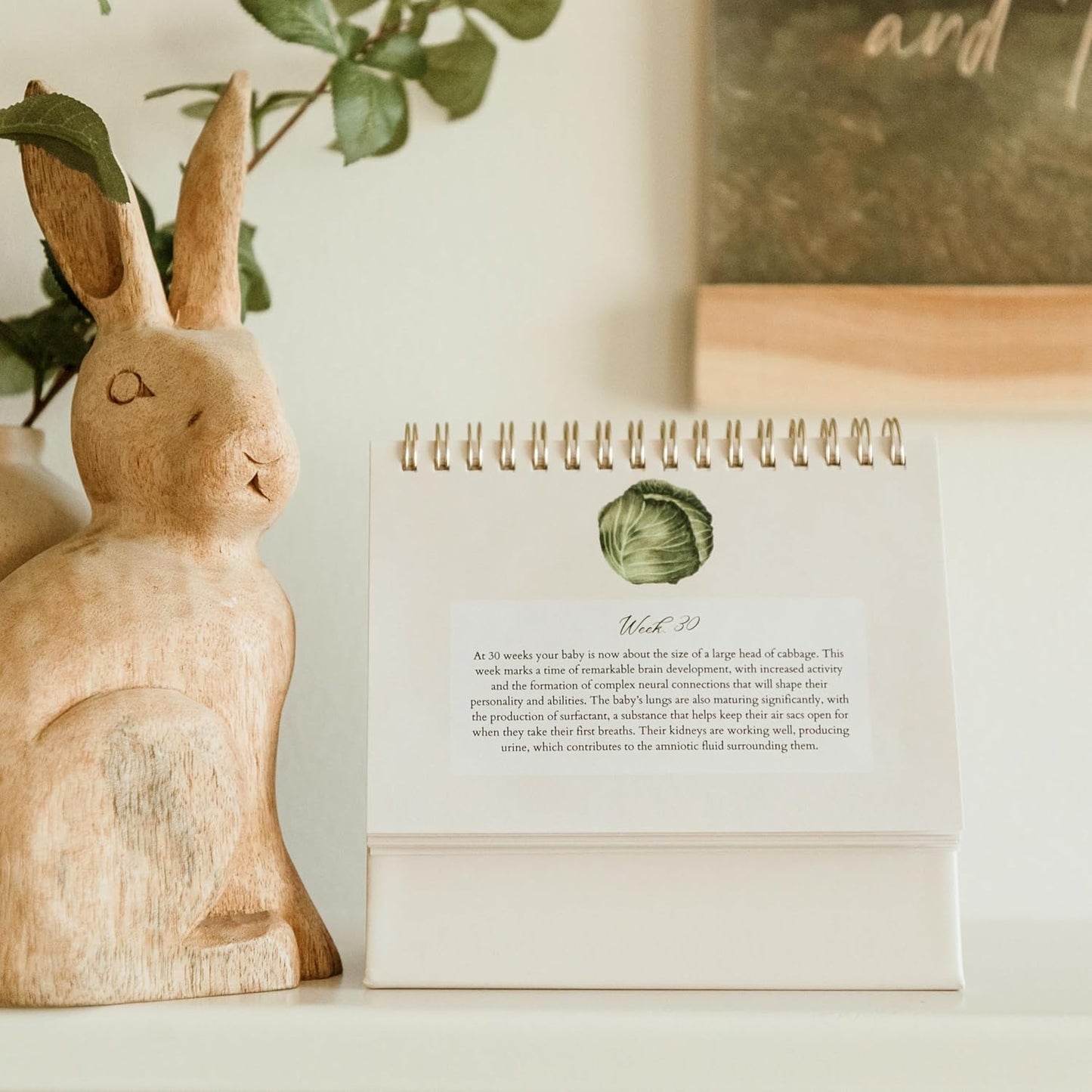 Mulberry Lane Co. Faith-Filled Weekly Pregnancy Milestone Calendar – Pregnancy Must Haves, First-Time Mom Essentials, Monthly Baby Tracker with Scripture, Pregnancy Gifts for Expecting Moms