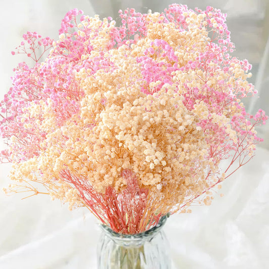 3500+ Dried Babys Breath Flowers Pink & White-17'' Baby's Breath Bulk Bouquet, Real Natural Dried Gypsophila Flowers for Resin, Home Vase Decor, Card DIY, Party, Wedding Flower Wreaths