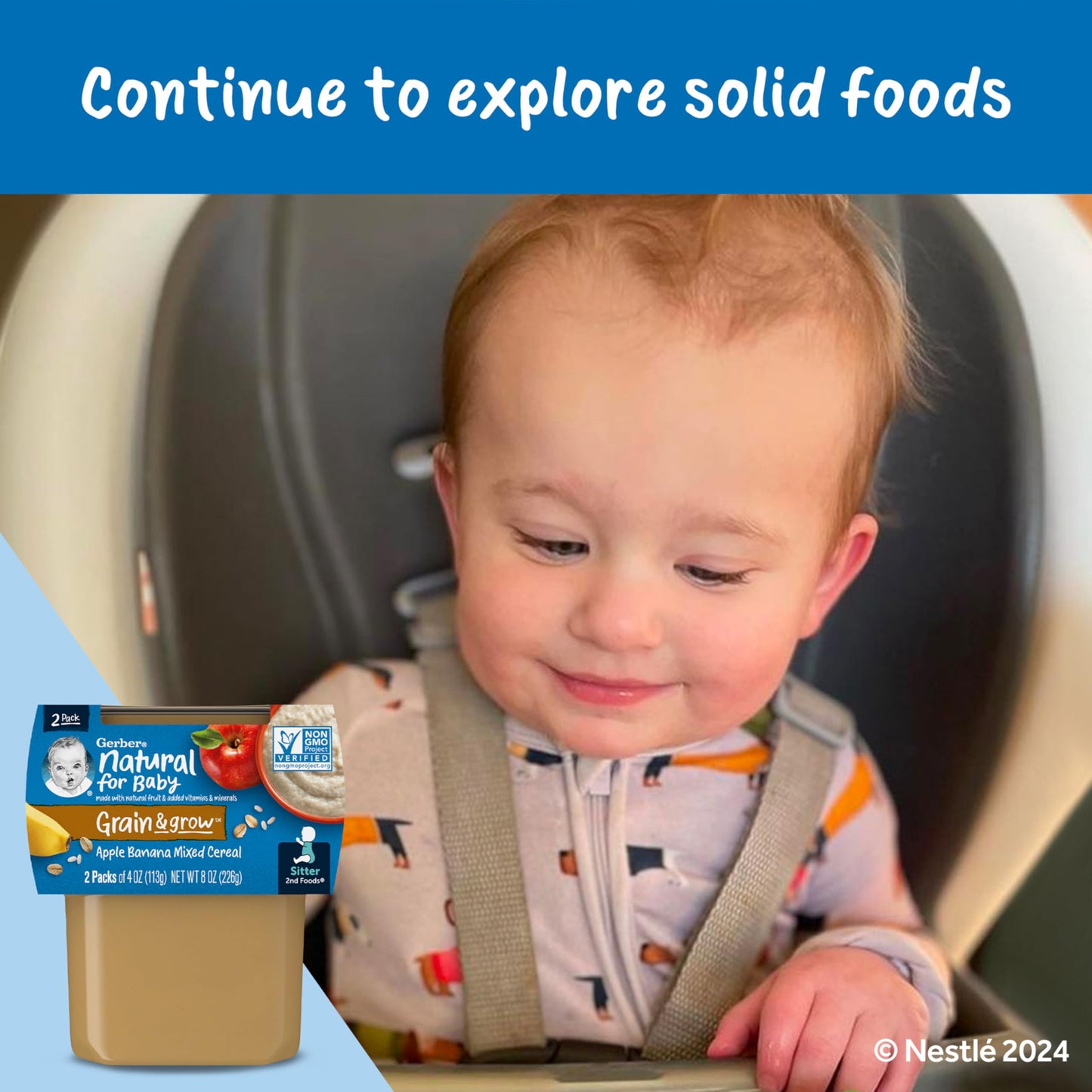 Gerber Baby Food 2nd Foods, Mixed Cereal, Pears & Cinnamon with Oatmeal Puree, 4 Ounce Tubs, 2-Pack (Pack of 8)