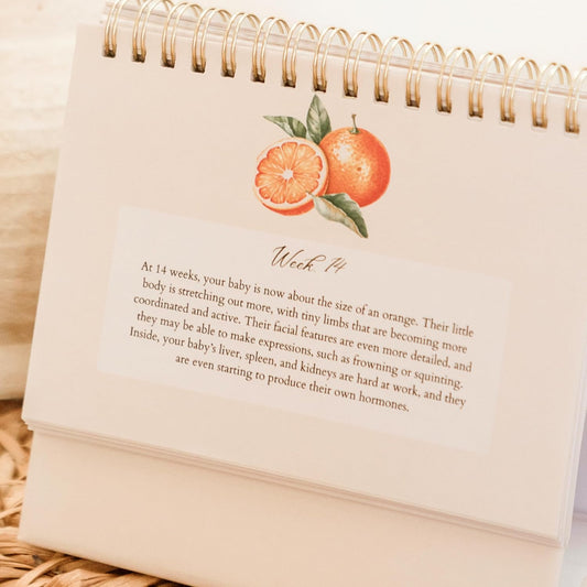 Mulberry Lane Co. Faith-Filled Weekly Pregnancy Milestone Calendar – Pregnancy Must Haves, First-Time Mom Essentials, Monthly Baby Tracker with Scripture, Pregnancy Gifts for Expecting Moms