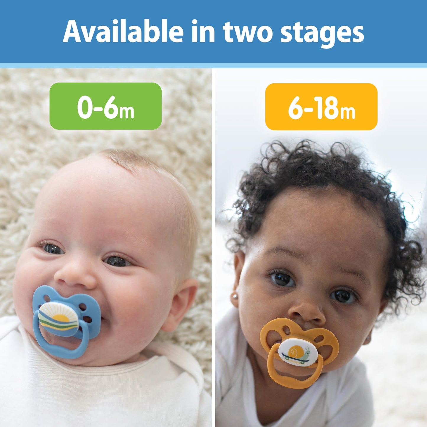 Dr. Brown's Advantage Glow-in-the-Dark Baby Pacifier, Fully Symmetrical Soother with Soft Silicone Bulb, Scooter Squirrel-Purple Nature, 6-18m, BPA Free, 4 Pack