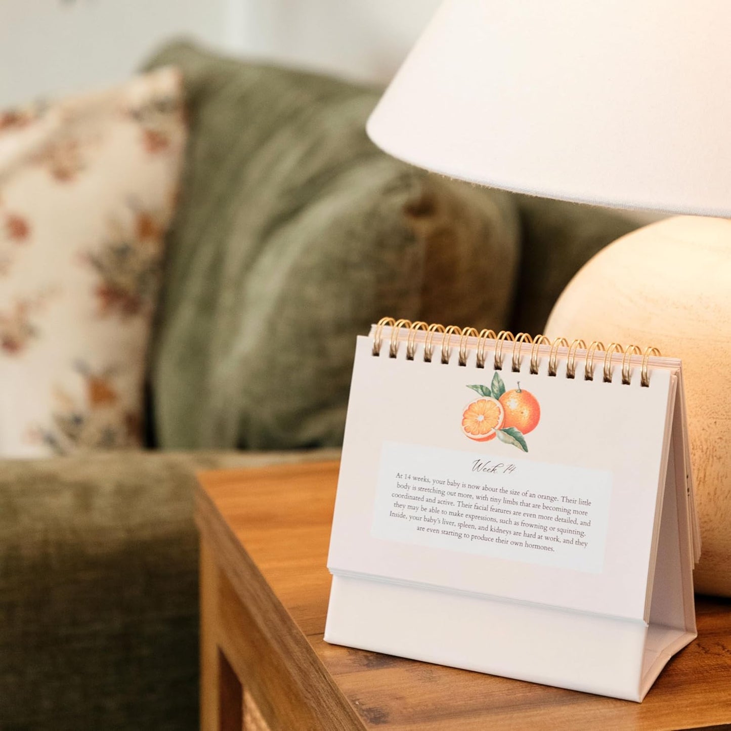 Mulberry Lane Co. Faith-Filled Weekly Pregnancy Milestone Calendar – Pregnancy Must Haves, First-Time Mom Essentials, Monthly Baby Tracker with Scripture, Pregnancy Gifts for Expecting Moms