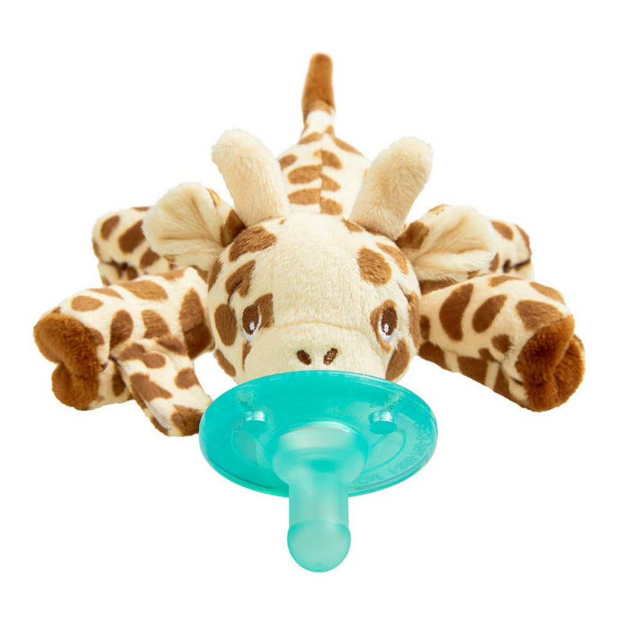 Pacifiers & Accessories