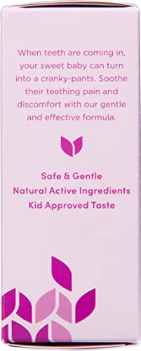 Hyland's Baby Daytime Soothing Tablets with Chamomilla, Natural Relief of Oral Discomfort, Irritability, and Swelling, (Pack of 1, 125 Count Total)