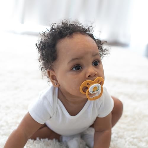 Dr. Brown's Advantage Glow-in-the-Dark Baby Pacifier, Fully Symmetrical Soother with Soft Silicone Bulb, Scooter Squirrel-Purple Nature, 6-18m, BPA Free, 4 Pack
