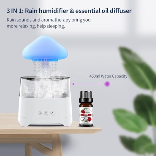 Diffuserlove Rain Diffuser Cloud Humidifier Water Drip Diffuser Humidifier 450ML with Remote Mushroom Lamp Humidifier Rain Sounds Humidifier