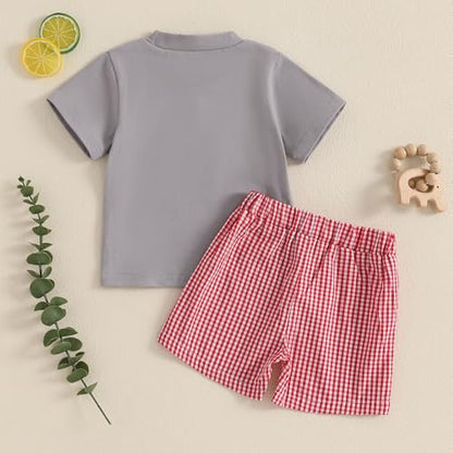 fhutpw Baby Toddler Boy Summer Clothes Embroidery Pattern Short Sleeve Tops & Casual Shorts 6 12 18 Months Outfits Sets