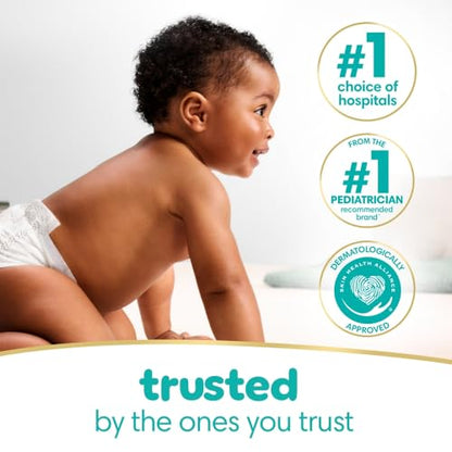 Pampers Sensitive Baby Wipes, Water Based, Hypoallergenic and Unscented, 8 Flip-Top Packs, 4 Refill Packs (1008 Wipes Total)