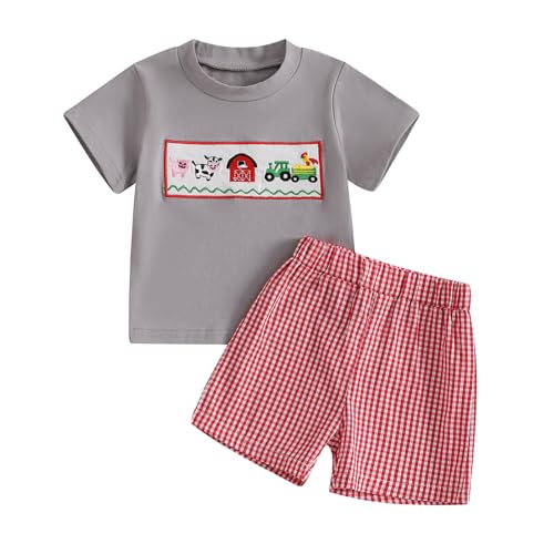 fhutpw Baby Toddler Boy Summer Clothes Embroidery Pattern Short Sleeve Tops & Casual Shorts 6 12 18 Months Outfits Sets