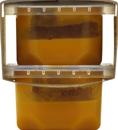 Gerber 1st Foods Baby Food Banana Puree, Natural & Non-GMO, 2 Ounce Tubs, 2-Pack (Pack of 8)