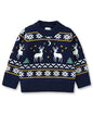 Infant Toddler Baby Girl Oversized Sweater Long Sleeve Sweaters Fall Winter Tops Clothes