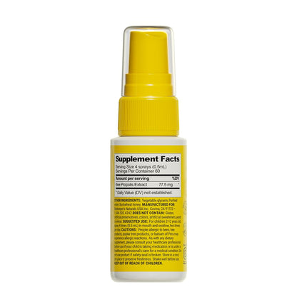 Kids Propolis Throat Spray - Natural Immune Support & Sore Throat Relief - by BEEKEEPER'S NATURALS - Has Antioxidants & Gluten-Free (1.06 oz) Pack of 1 (Kids)