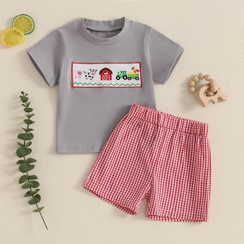 fhutpw Baby Toddler Boy Summer Clothes Embroidery Pattern Short Sleeve Tops & Casual Shorts 6 12 18 Months Outfits Sets