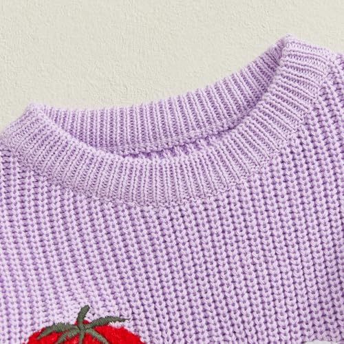Baby Girl First Birthday Outfit One Year Old Strawberry Embroidery Knit Sweater Romper Warm Fall Winter Clothes