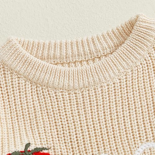 Baby Girl First Birthday Outfit One Year Old Strawberry Embroidery Knit Sweater Romper Warm Fall Winter Clothes