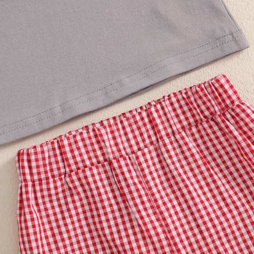 fhutpw Baby Toddler Boy Summer Clothes Embroidery Pattern Short Sleeve Tops & Casual Shorts 6 12 18 Months Outfits Sets