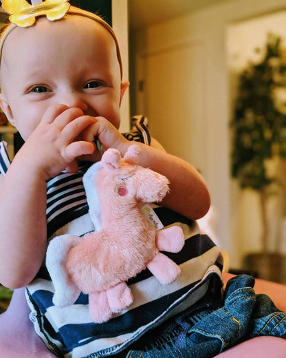 Itzy Ritzy Pacifier & Lovey Set - Includes Silicone Pacifier with Stuffed Animal Lovey - Detachable Plush Unicorn Pacifier Holder & Coordinating Pink Silicone Pacifier, Ideal for Ages 0 Months & Up