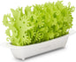 Oasis Plus Green ~Eco Mobile Humidifier that Does Not Use Electricity