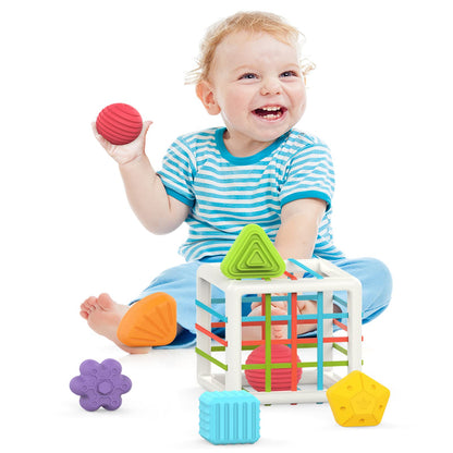 MINGKIDS Montessori Toys for 1 Year Old, Toy 6 Pc Multi Sensory Shape, Toddler Developmental Learning Toys Birthday Gifts, Baby Toys 12 Month