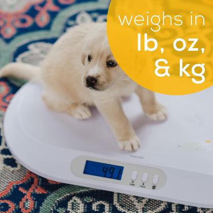 Beurer BY82 Multifunctional Baby Scale for Infants, Pets, Kids, & Adults up to 396lbs, Measures in 4 Units with Backlit Digital Display & Hold Function for Accuracy, Animal Scale for Cats and Dogs