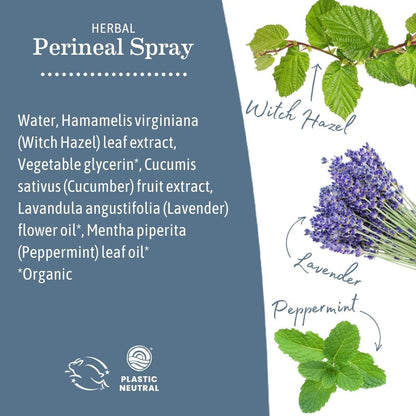 Earth Mama Herbal Perineal Spray | Safe for Pregnancy and Postpartum Recovery, Witch Hazel Natural Cooling Spray For After Birth Feminine Care Essentials, No Benzocaine or Butane, 4-Fluid Ounce