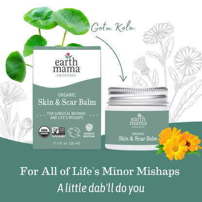 Earth Mama Organic Skin & Scar Balm |C-Section Recovery Skin Care, Pregnancy Stretch Mark Scar Cream with Organic Jojoba Oil, Tamanu Oil & Gotu Kola (2-Pack)