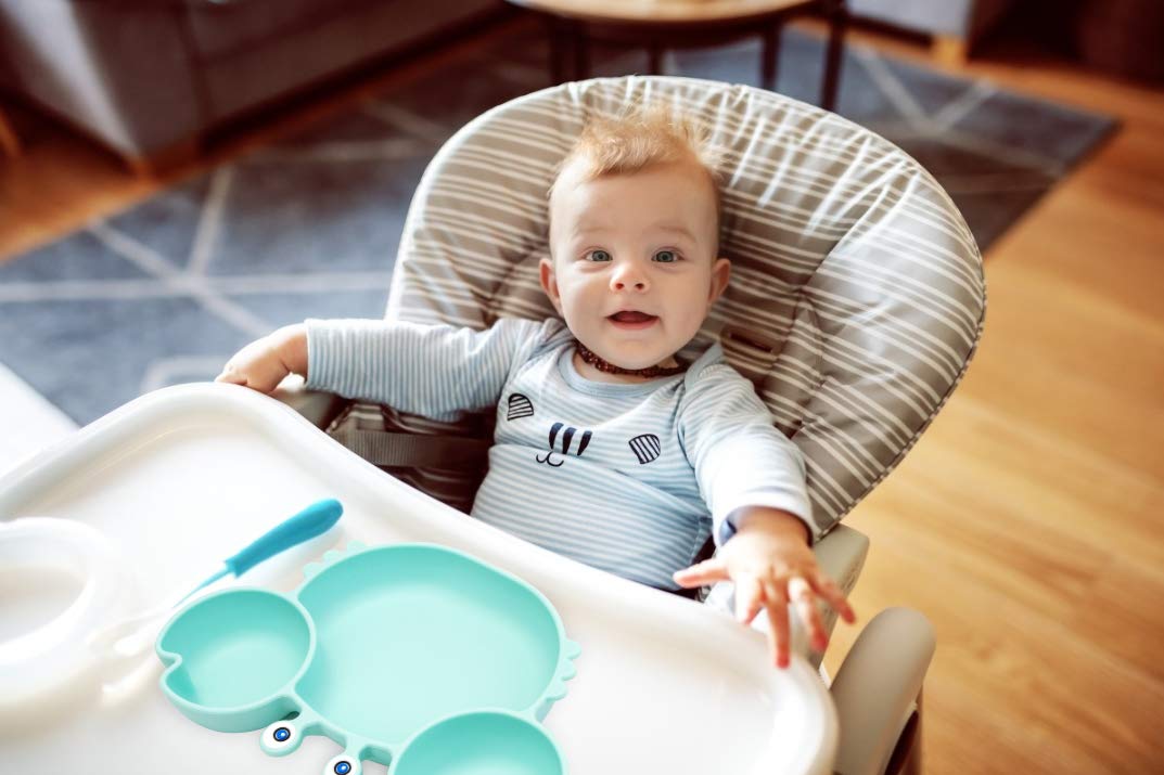 Silicone Suction Plate for Toddlers - Self Feeding Training Divided Plate Dish and Bowl for Baby and Toddler, Fits for Most Highchairs Trays, BPA Free Microwave Dishwasher Safe