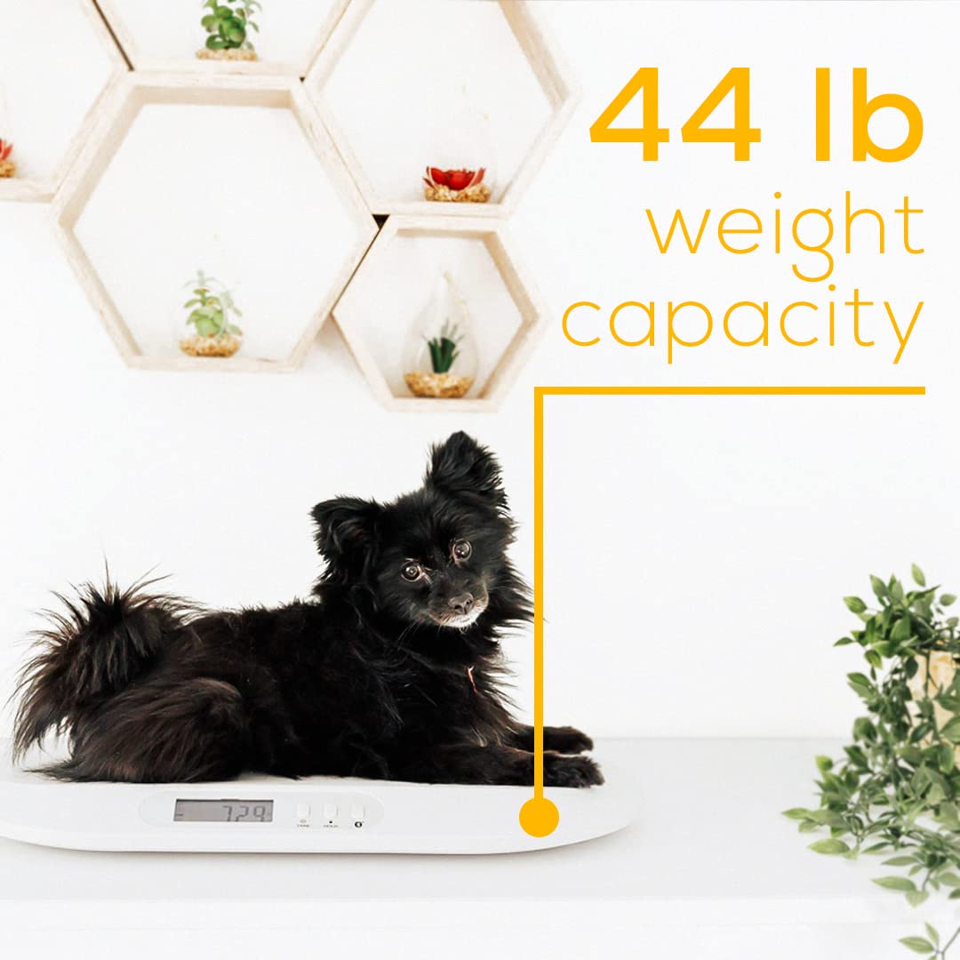 Beurer BY82 Multifunctional Baby Scale for Infants, Pets, Kids, & Adults up to 396lbs, Measures in 4 Units with Backlit Digital Display & Hold Function for Accuracy, Animal Scale for Cats and Dogs