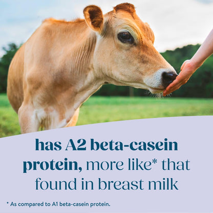 Pure Bliss by Similac Organic with A2 Milk Infant Formula, Easy to Digest, USDA-Certified Organic, Powder, 20.6-oz Tub