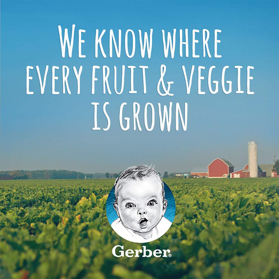 Gerber 2nd Food Baby Food Green Bean Puree, Natural & Non-GMO, 8 Ounce, 2 Count (Pack of 8)