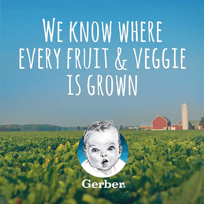 Gerber 2nd Food Baby Food Green Bean Puree, Natural & Non-GMO, 8 Ounce, 2 Count (Pack of 8)