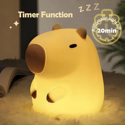 Cute Frog Night Light for Kids, Color Changeable Soft Silicone Sleeping Night Lamp for Nursery, Dimmable Timer Rechargeable Colorful Baby's Light Room Decor Children Gifts