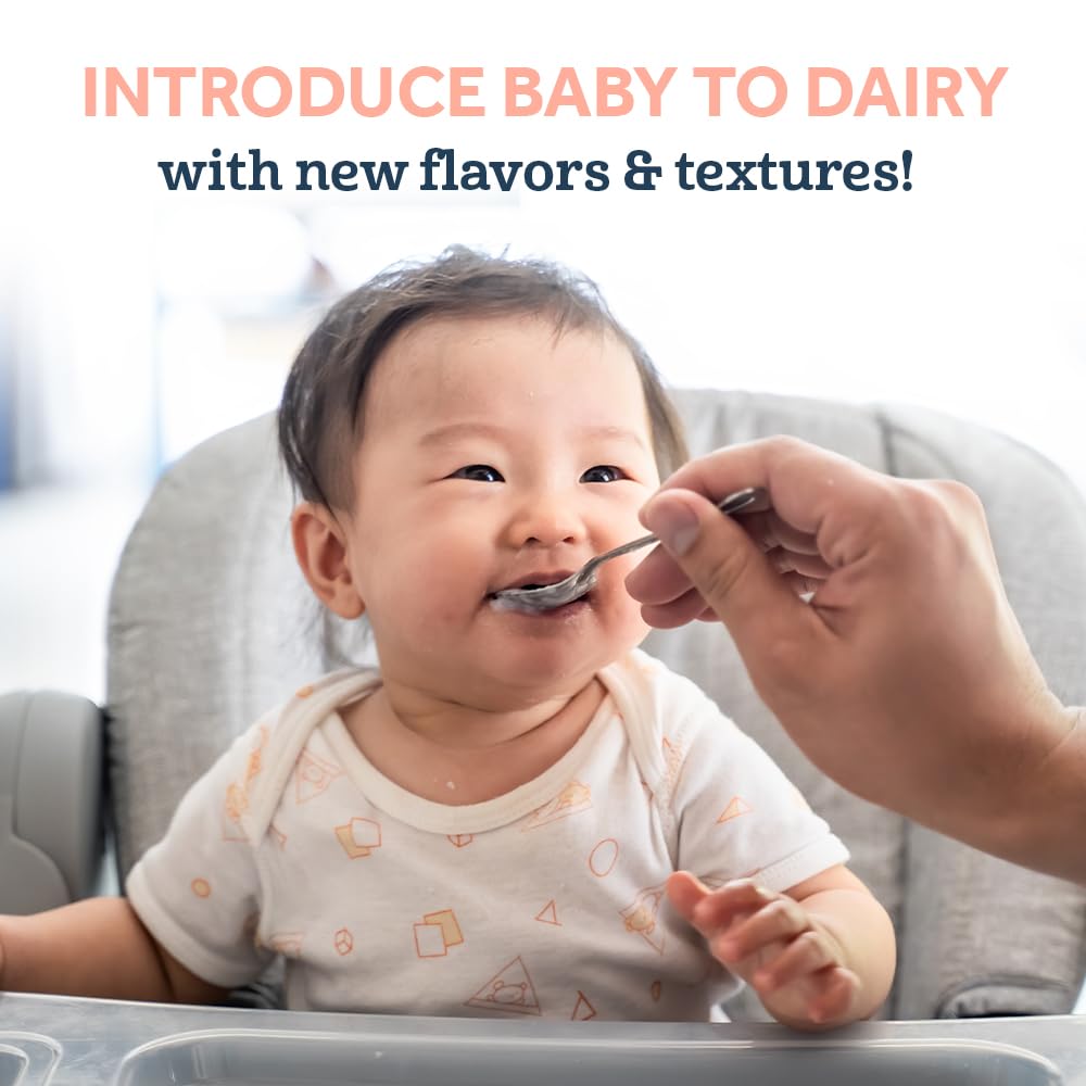 Gerber Baby Food, Yogurt Blends Snack, Banana, 2nd Foods, Baby Snacks, Baby Yogurt, Baby Food Stage 2, No Artificial Flavors or Sweeteners, No Preservatives, 4 oz Tubs (Pack of 2)